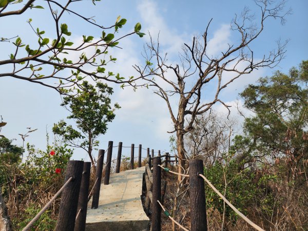 小百岳No.75⛰觀音山3025137