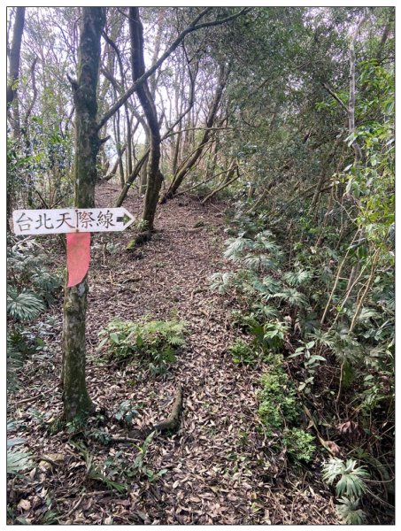 皇帝殿石壩尖、東峰、西峰連走(北峰登山口)2675649