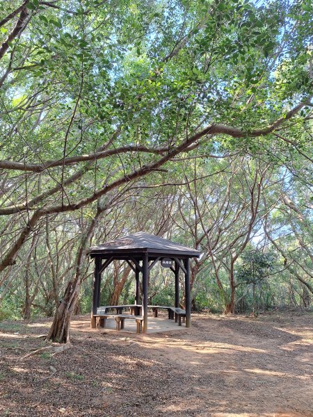 大肚環保公園步道+大尖山+萬里長城步道萬里長城步道202512072956514