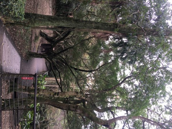 五酒桶山、南崁山2693326