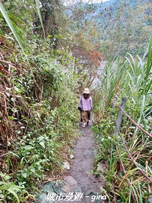 【南投仁愛】武界部落采風2972898