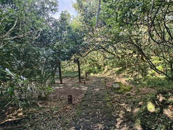 [百山百鳥尋旅-11/15] 2025_0927 大屯主峰-連峰步道_大屯山南峰2899346