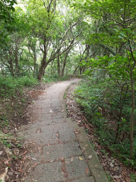 20230722 頂山石梯嶺縱走坪頂古圳，聖人瀑布2227213