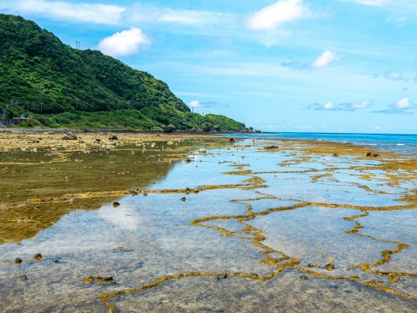 戀戀火燒島—牛頭山、過山古道、阿眉山、仙人疊石1749247