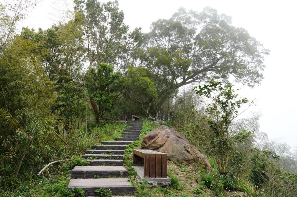 嘉義 梅山 太平山、梨子腳山、馬鞍山、二尖山、大尖山、碧湖山2748987