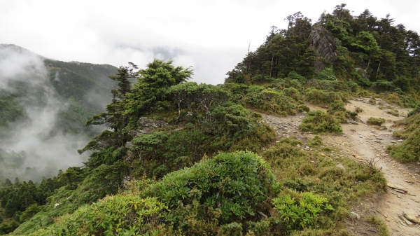 風雨中朦朧的嘉明湖19527