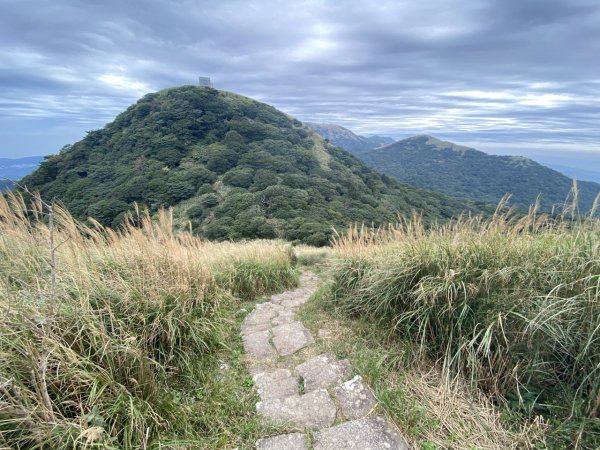 2023/11/29 清天宮 向天山 面天山 二子坪2392426