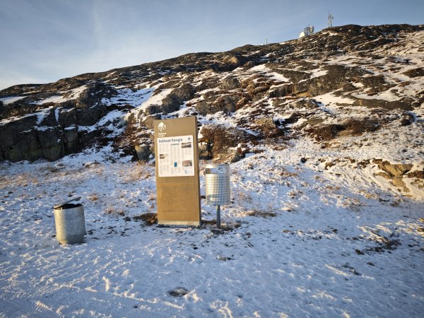 [紐約馬之行-32] 2025_1106 格陵蘭犬2947909