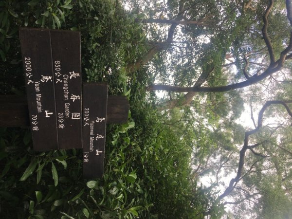 鳶山三連峰O繞一圈（三峽老街祭五臟廟 #鳶山 #鳶山東峰 #鳶尾山 #鳶山岩 #三峽老街2683243