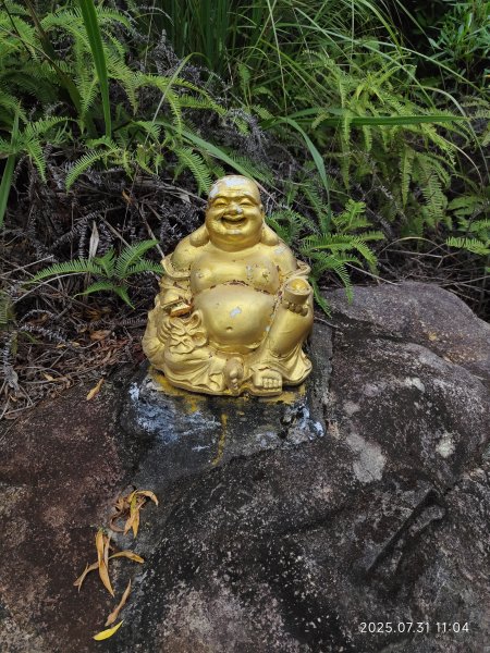 大湖公園→大溝溪生態治水園區→圓覺寺步道→圓覺瀑布→圓覺寺→鯉魚山步道【臺北大縱走 4、臺北健走趣】2849159