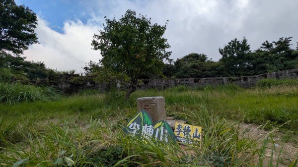 李崠山步道3093018