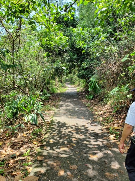 【彰化 | 橫山】975441