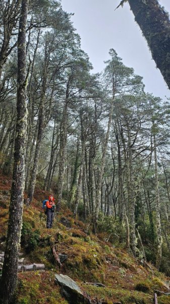 20250319～20嘉明湖國家步道🥶🥶🥶殘念😭2739802