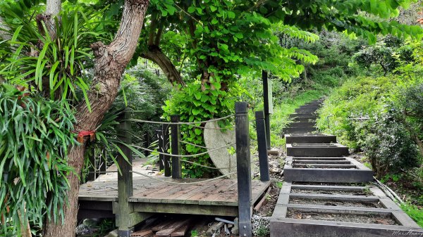 《台中》挑過山水｜石岡挑物古道O繞202309102277369