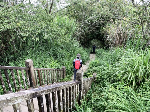 納涼去～頂湖上大凍山 20190622621395