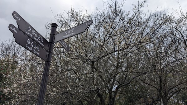 114.12.27尖山-40砲陣地之旅2971734