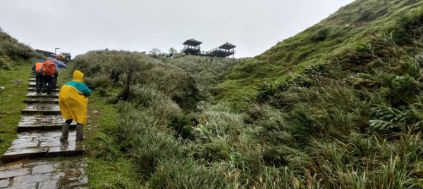 桃源谷，草嶺古道縱走1902838