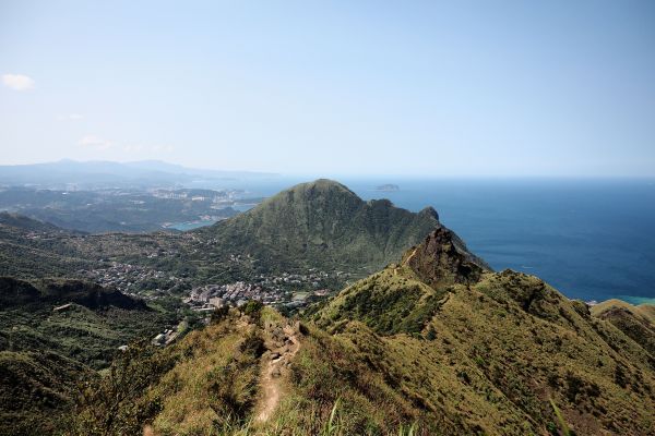 茶壺-半屏-燦光寮 早春286283