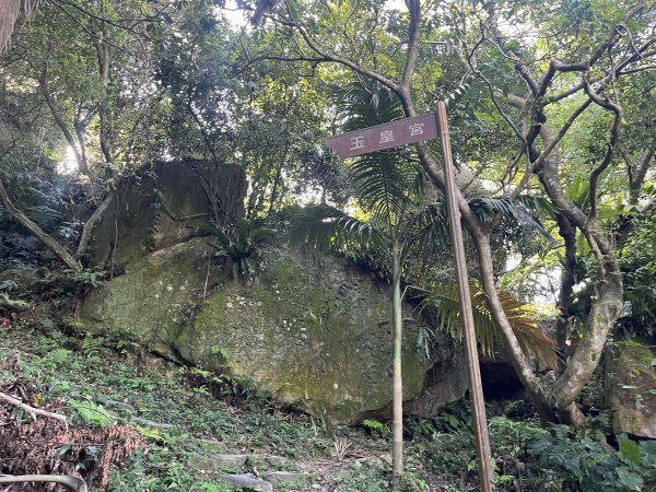 [微笑山線_第五段] 2025_0705 天上山系_五尖山2830317