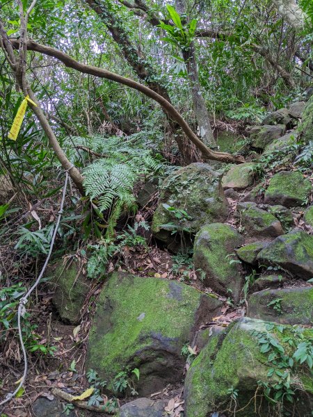 鵝角格東峰 鵝角格山 六分山 四面頭山 貓空尖 十六分山 三玄宮山2006136