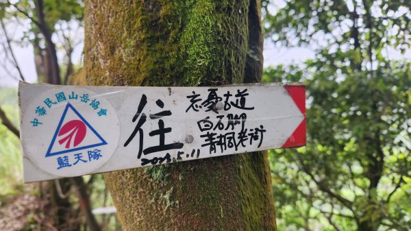 峰頭尖~峰頭尖東峰2761354