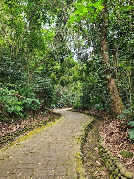 挑水古道+十八觀音步道+大峰巷步道+碧山古道O繞2766196