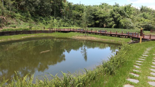 澀水森林步道登山健行趣(步道)2259803