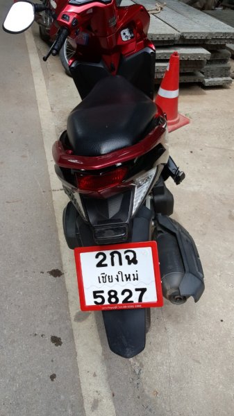 清邁：Huai Kaeo、大樹咖啡2486909