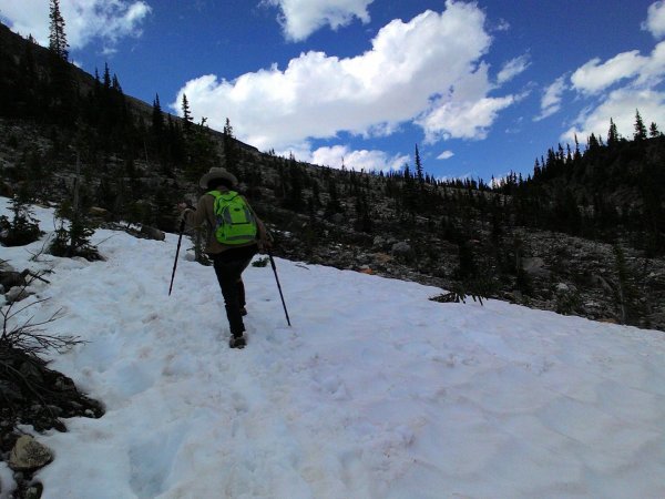 Iceline Trail (YOHO 加拿大幽鶴國家公園)2634595