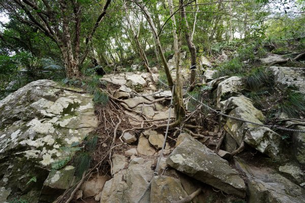 臺中 和平 屋我尾山、十文溪山2699440