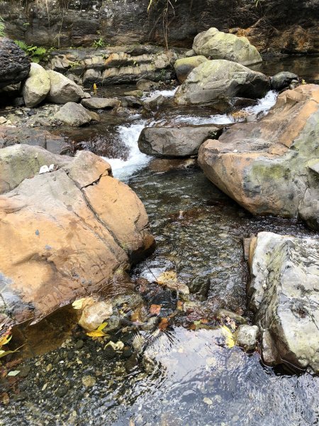 180602谷關蝴蝶谷瀑布+夢幻谷797479