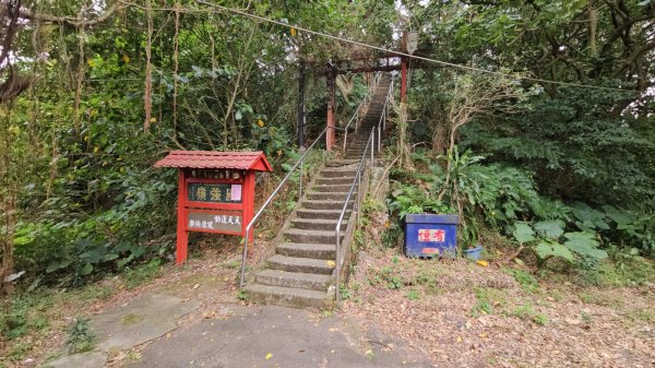 圓通寺烘爐地登山步道大O走3007135