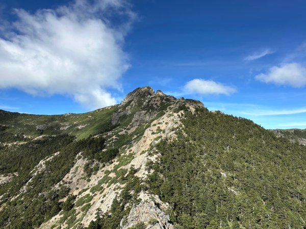 2024/09/27-0930帶2位神隊友76歲老爸、老朋友呂哥，玉山後四峰一遊但未竟。。。被山陀兒2607169