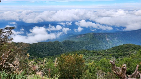 苗栗加里山，橫龍山，騰龍山，橫龍古道，鳥嘴山（上島山），南十八尖山，崎頂子母隧道，青青草原1885675