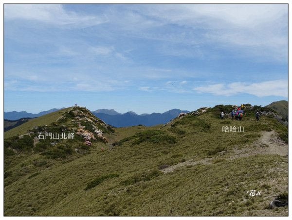 哈哈山~石門北峰/杜鵑花開1372524