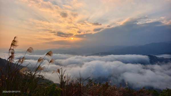 #翡翠水庫壩頂 #雲海 #日出 #陽明公園 #夕陽1/92979340