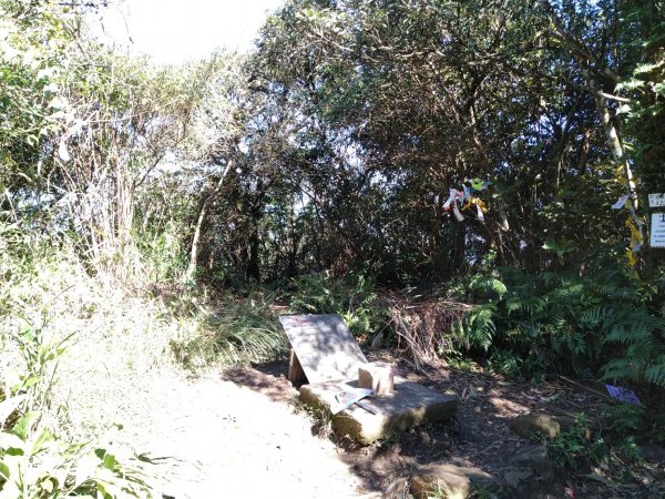 【小百岳20】獅仔頭山完成-141243461