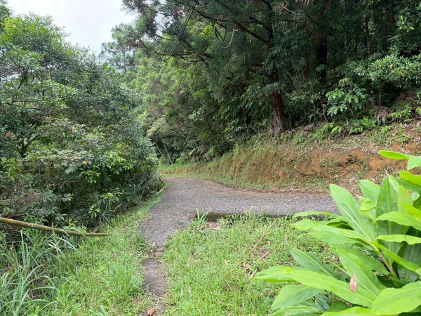虎豹雙棲越野17K複習跑-part23072618