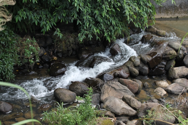 20160508新北市三芝區三生賞桐花步道90744