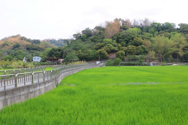 健身公益齊步走。萬豐環山步道780282