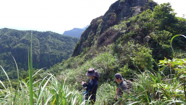 劍龍-鋸齒稜下六坑南北口隧道40131