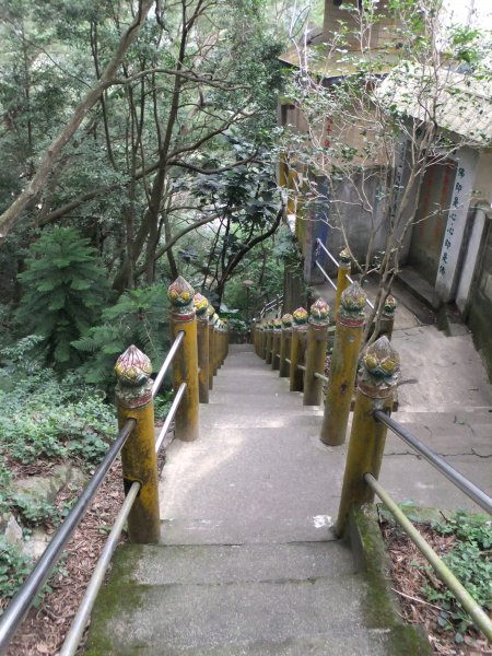 竹東森林公園546381