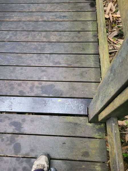 大坑10號提前修好啦(10號上+6號+7號下)2753642