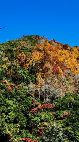 霞克羅古道1553124