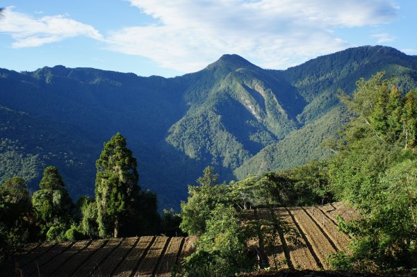 桃園 復興 把家灣山、低陸山2865342