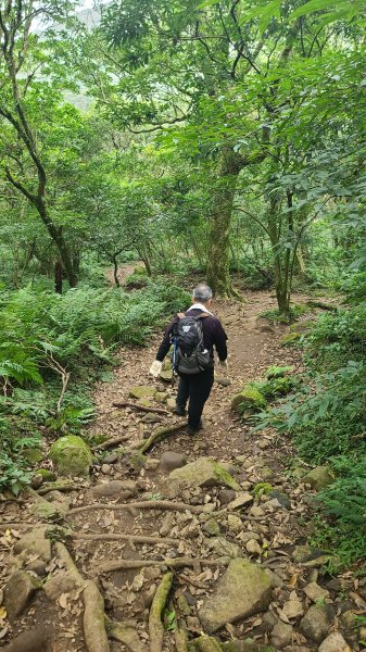 2026-0116 大屯三山_貴子坑_北投2984765