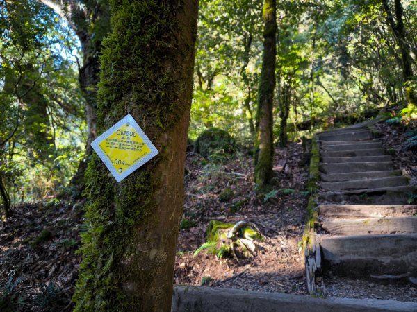 2026-02-09 庫哈諾辛山2998840