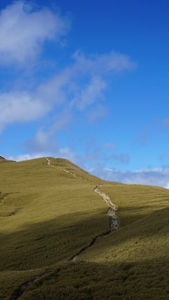 雪季合歡北峰1042024