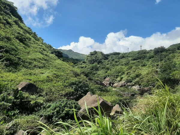 金瓜石，與奈良美智的詩意邂逅2883191