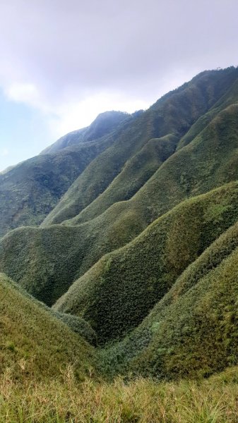 聖母登山步道926830